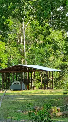Photo00071