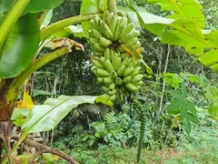 Photo00087