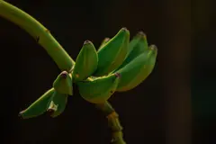 Photo00111