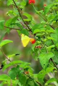 Photo00117
