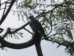 Photo00119