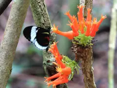 Photo00122