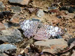 Photo00129