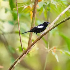 Photo00138