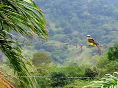 Photo00142